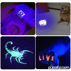 Morpilot 2 Pcs UV Flashlight 12Leds Ultraviolet Blacklight Pet Dog Stain & Urine Detector Light Torch Ultra Violet Flashlight, Find Stains on Carpet, Rugs or Furniture Material, Catch Scorpion
